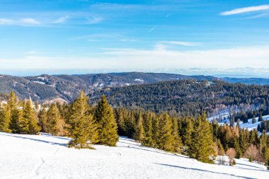 Feldberg 'in Kara Orman' daki keşif turu - Baden-Wrttemberg - Almanya