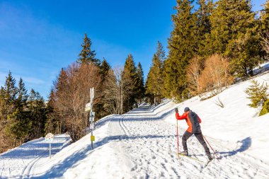 Feldberg 'in Kara Orman' daki keşif turu - Baden-Wrttemberg - Almanya