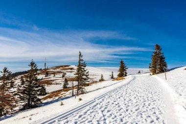 Feldberg 'in Kara Orman' daki keşif turu - Baden-Wrttemberg - Almanya