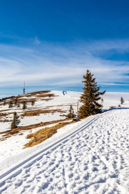 Feldberg 'in Kara Orman' daki keşif turu - Baden-Wrttemberg - Almanya