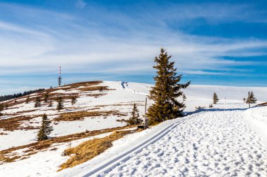 Feldberg 'in Kara Orman' daki keşif turu - Baden-Wrttemberg - Almanya