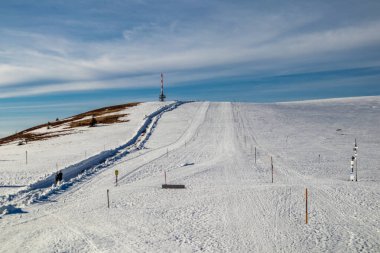 Feldberg 'in Kara Orman' daki keşif turu - Baden-Wrttemberg - Almanya