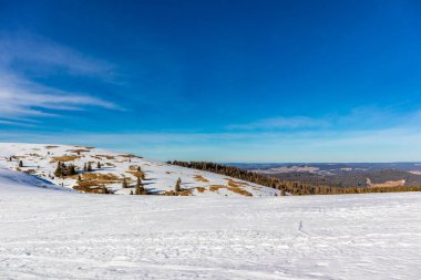 Feldberg 'in Kara Orman' daki keşif turu - Baden-Wrttemberg - Almanya