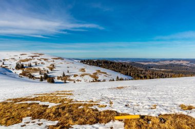 Feldberg 'in Kara Orman' daki keşif turu - Baden-Wuerttemberg - Almanya