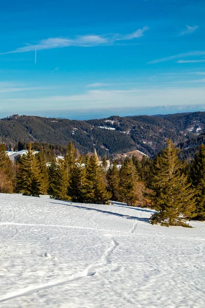 Feldberg Felfedezőkörút Fekete Erdőben Baden Wrttemberg Németország — Stock Fotó