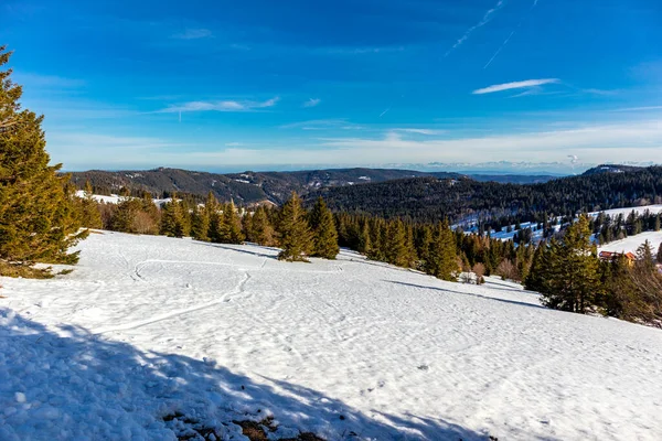 Feldberg 'in Kara Orman' daki keşif turu - Baden-Wrttemberg - Almanya