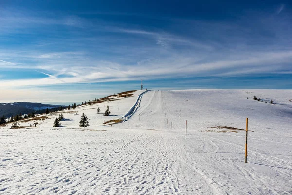 Visite Découverte Feldberg Forêt Noire Bade Wrttemberg Allemagne — Photo