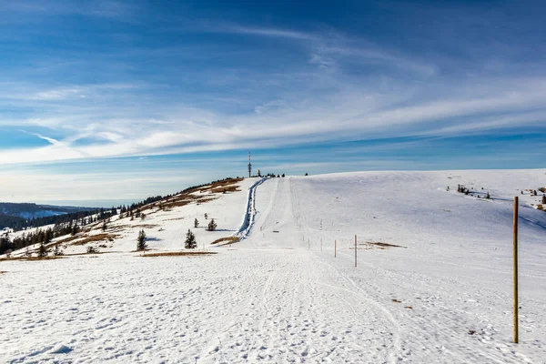 Visite Découverte Feldberg Forêt Noire Bade Wrttemberg Allemagne — Photo