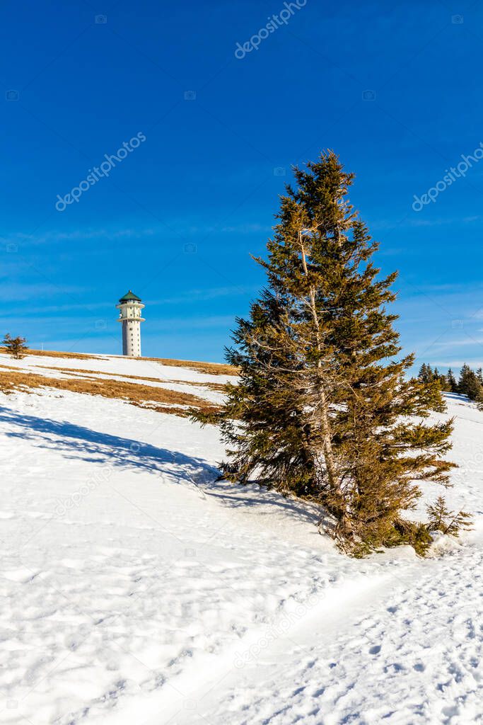 Discovery tour of the Feldberg in the Black Forest - Baden-Wrttemberg - Germany