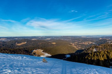Feldberg 'in Kara Orman' daki keşif turu - Baden-Wuerttemberg - Almanya