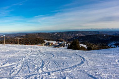 Feldberg 'in Kara Orman' daki keşif turu - Baden-Wuerttemberg - Almanya