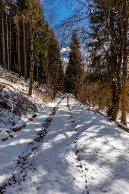 Steinbach-Hallenberg yakınlarındaki Thuringian Ormanı 'ndaki dağ kurtarma kulübesine yürüyün.