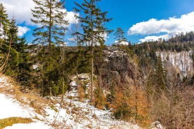 Steinbach-Hallenberg yakınlarındaki Thuringian Ormanı 'ndaki dağ kurtarma kulübesine yürüyün.
