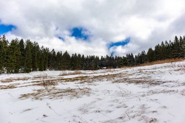 Steinbach-Hallenberg yakınlarındaki Thuringian Ormanı 'ndaki dağ kurtarma kulübesine yürüyün.