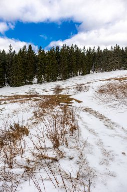 Steinbach-Hallenberg yakınlarındaki Thuringian Ormanı 'ndaki dağ kurtarma kulübesine yürüyün.
