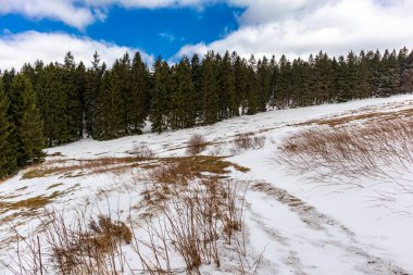 Steinbach-Hallenberg yakınlarındaki Thuringian Ormanı 'ndaki dağ kurtarma kulübesine yürüyün.