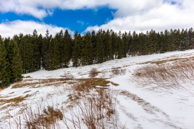 Steinbach-Hallenberg yakınlarındaki Thuringian Ormanı 'ndaki dağ kurtarma kulübesine yürüyün.