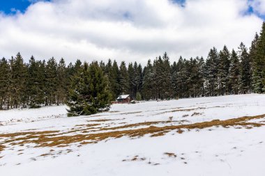 Steinbach-Hallenberg yakınlarındaki Thuringian Ormanı 'ndaki dağ kurtarma kulübesine yürüyün.