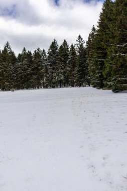 Steinbach-Hallenberg yakınlarındaki Thuringian Ormanı 'ndaki dağ kurtarma kulübesine yürüyün.
