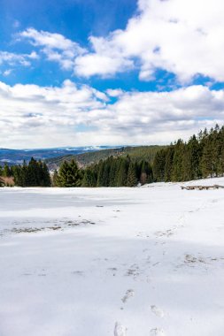 Steinbach-Hallenberg yakınlarındaki Thuringian Ormanı 'ndaki dağ kurtarma kulübesine yürüyün.