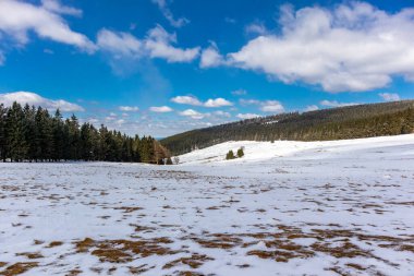 Steinbach-Hallenberg yakınlarındaki Thuringian Ormanı 'ndaki dağ kurtarma kulübesine yürüyün.