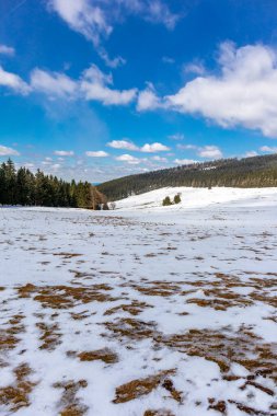 Steinbach-Hallenberg yakınlarındaki Thuringian Ormanı 'ndaki dağ kurtarma kulübesine yürüyün.