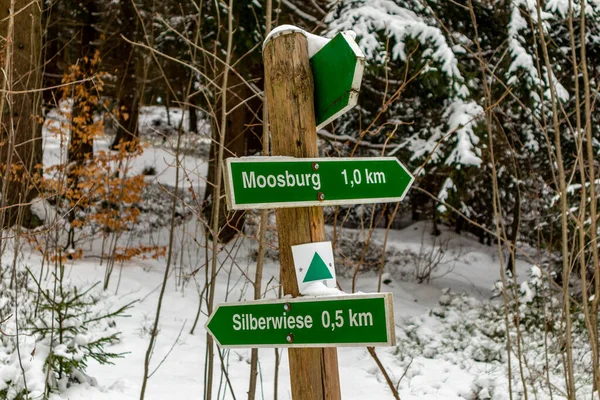 Wycieczka Schroniska Górskiego Lesie Turyngii Koło Steinbach Hallenberg Niemcy — Zdjęcie stockowe