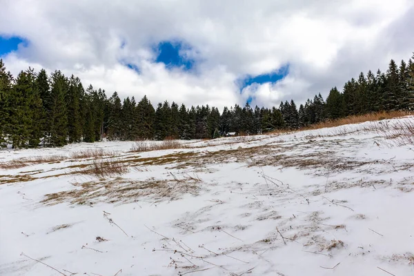 Steinbach-Hallenberg yakınlarındaki Thuringian Ormanı 'ndaki dağ kurtarma kulübesine yürüyün.