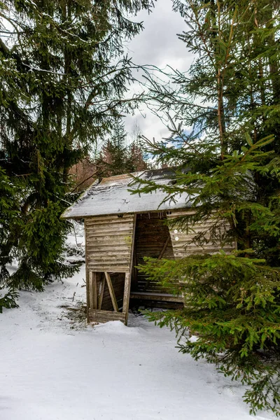 Wanderung Zur Bergrettungshütte Thüringer Wald Bei Steinbach Hallenberg — Stockfoto