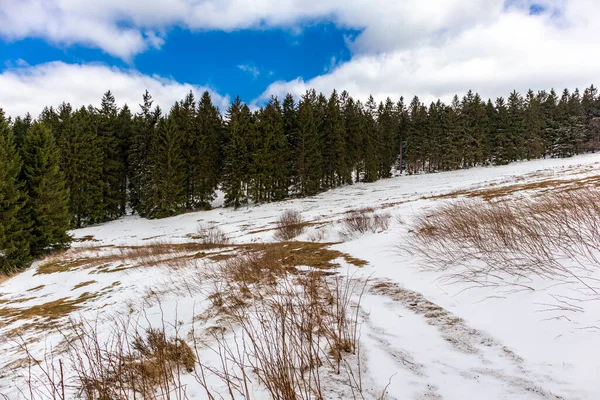 Steinbach-Hallenberg yakınlarındaki Thuringian Ormanı 'ndaki dağ kurtarma kulübesine yürüyün.