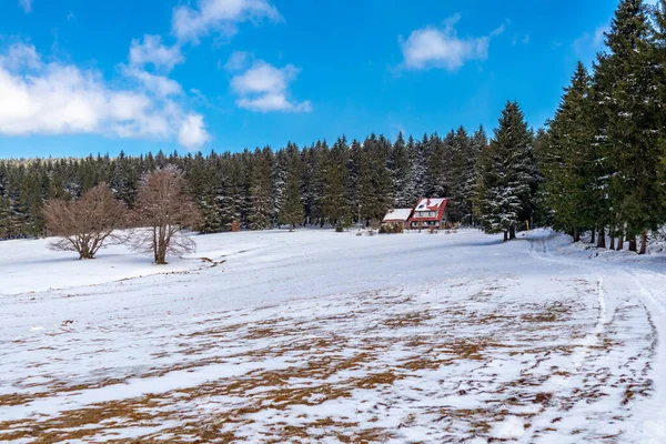 Caminata Cabaña Rescate Montaña Bosque Turingia Cerca Steinbach Hallenberg Alemania — Foto de Stock