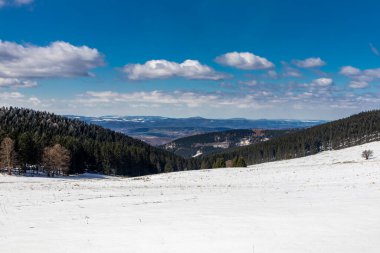 Steinbach-Hallenberg yakınlarındaki Thuringian Ormanı 'ndaki dağ kurtarma kulübesine yürüyün.