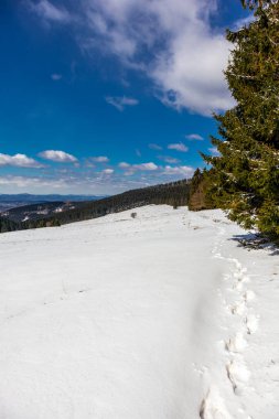 Steinbach-Hallenberg yakınlarındaki Thuringian Ormanı 'ndaki dağ kurtarma kulübesine yürüyün.