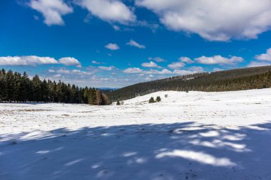 Steinbach-Hallenberg yakınlarındaki Thuringian Ormanı 'ndaki dağ kurtarma kulübesine yürüyün.
