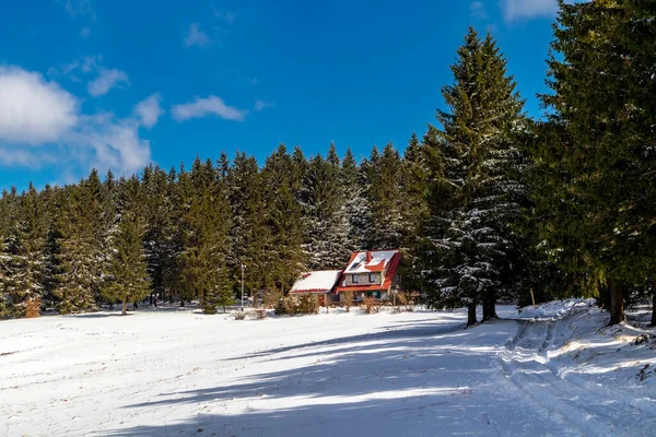 Randonnée Vers Cabane Secours Montagne Dans Forêt Thuringe Près Steinbach — Photo