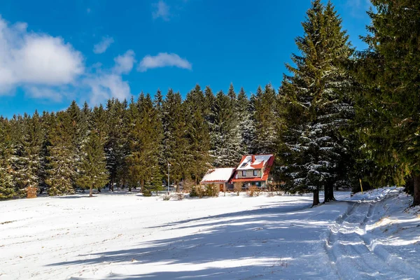 Caminata Cabaña Rescate Montaña Bosque Turingia Cerca Steinbach Hallenberg Alemania — Foto de Stock