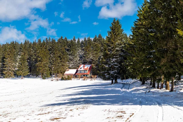 Caminata Cabaña Rescate Montaña Bosque Turingia Cerca Steinbach Hallenberg Alemania — Foto de Stock