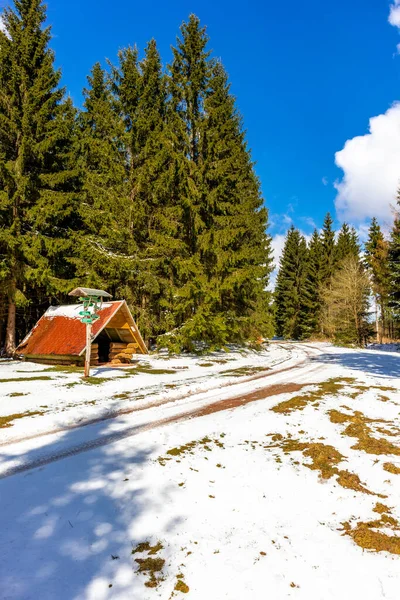 Caminata Cabaña Rescate Montaña Bosque Turingia Cerca Steinbach Hallenberg Alemania — Foto de Stock