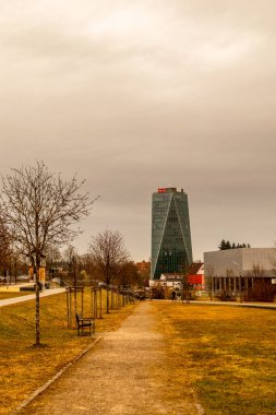 Schwenninger Moos 'a giderken ve doğal güzelliği Baden Almanya' da
