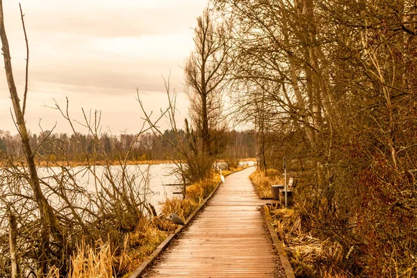 Unterwegs Schwenninger Moos Baden Württemberg Deutschland — Stockfoto