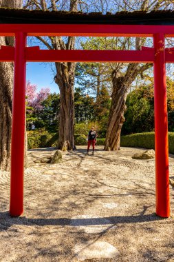Uzak Doğu 'ya yapılan keşif yolculuğu Kötü Langensalza' nın Japon Bahçesi - Thüringen - Almanya