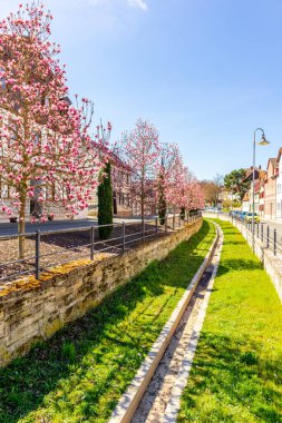 Uzak Doğu 'ya yapılan keşif yolculuğu Kötü Langensalza' nın Japon Bahçesi - Thüringen - Almanya