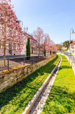 Uzak Doğu 'ya yapılan keşif yolculuğu Kötü Langensalza' nın Japon Bahçesi - Thüringen - Almanya