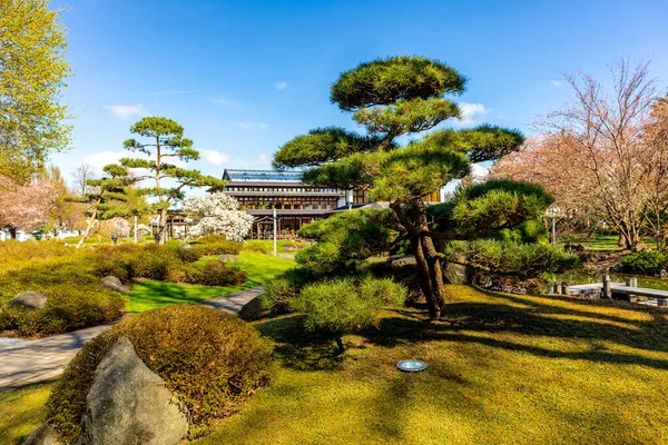 Uzak Doğu 'ya yapılan keşif yolculuğu Kötü Langensalza' nın Japon Bahçesi - Thüringen - Almanya