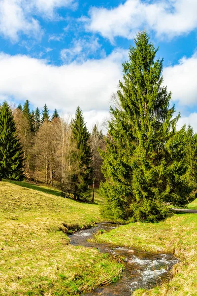 Erle Kapısı 'ndan baraja yürüyün - Thüringen - Almanya