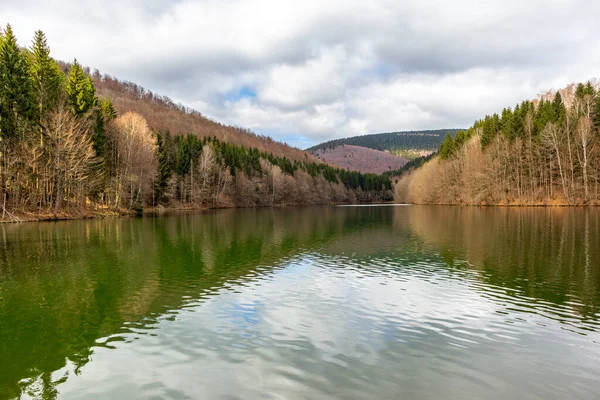 Erle Kapısı 'ndan baraja yürüyün - Thüringen - Almanya