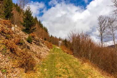 Thüringen Ormanı 'ndan geçen bahar yürüyüşü Floh-Seligenthal - Thüringen - Almanya