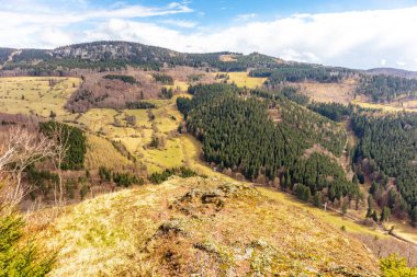 Thüringen Ormanı 'ndan geçen bahar yürüyüşü Floh-Seligenthal - Thüringen - Almanya