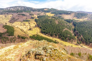 Thüringen Ormanı 'ndan geçen bahar yürüyüşü Floh-Seligenthal - Thüringen - Almanya