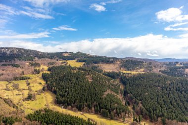 Thüringen Ormanı 'ndan geçen bahar yürüyüşü Floh-Seligenthal - Thüringen - Almanya